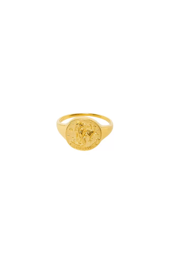 Gold Jewellery*Aquarius Stargazer Zodiac Ring