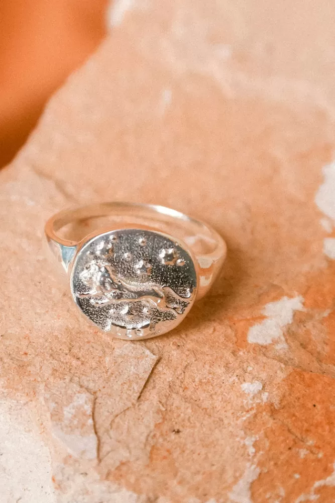 Sterling Silver Jewellery*Leo Stargazer Zodiac Ring