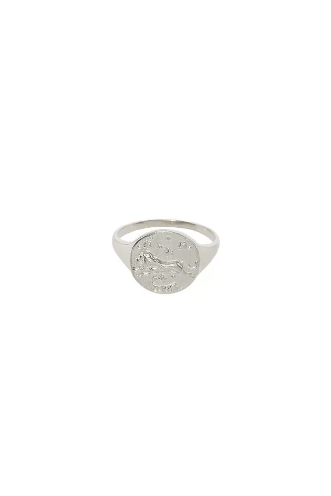 Sterling Silver Jewellery*Leo Stargazer Zodiac Ring