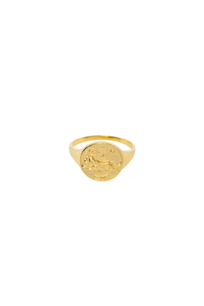 Gold Jewellery*Leo Stargazer Zodiac Ring