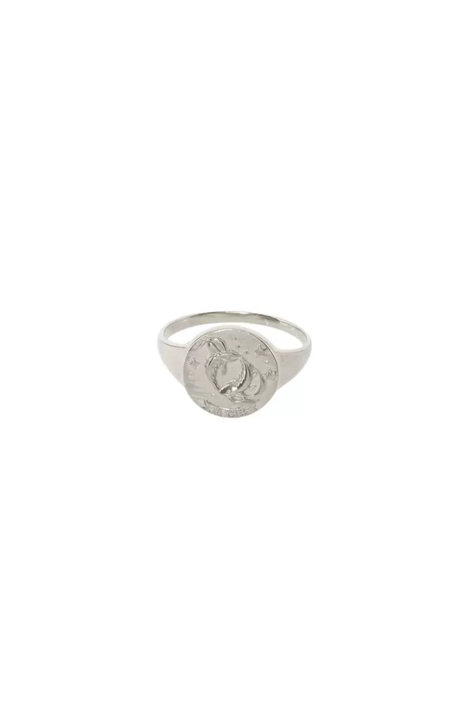 Sterling Silver Jewellery*Pisces Stargazer Zodiac Ring