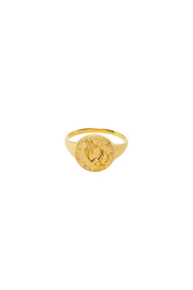 Gold Jewellery*Pisces Stargazer Zodiac Ring